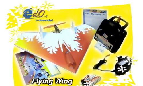 wing