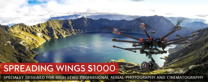 spreading-wings-s1000