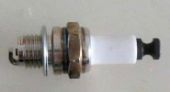DLE55 Glow plug