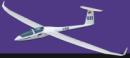 هواپیما کنترلی DG-1000 Electric Glider