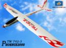 هواپیما کنترلی گلایدر Phoenix2000 