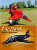 هواپیمای الکتریکی کنترلی Bae HAWK 